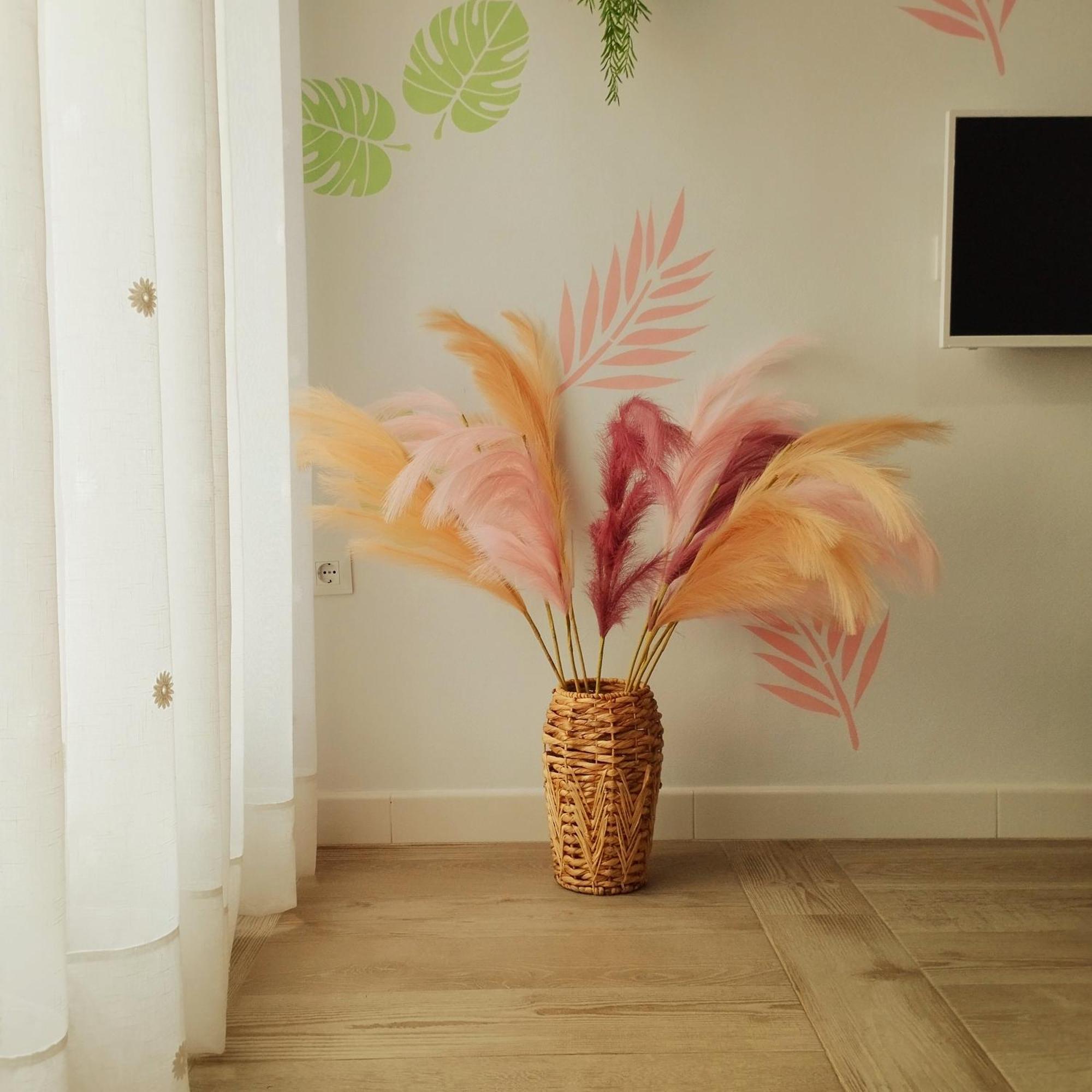 Apartamento Sol ชิปปีโอนา ภายนอก รูปภาพ